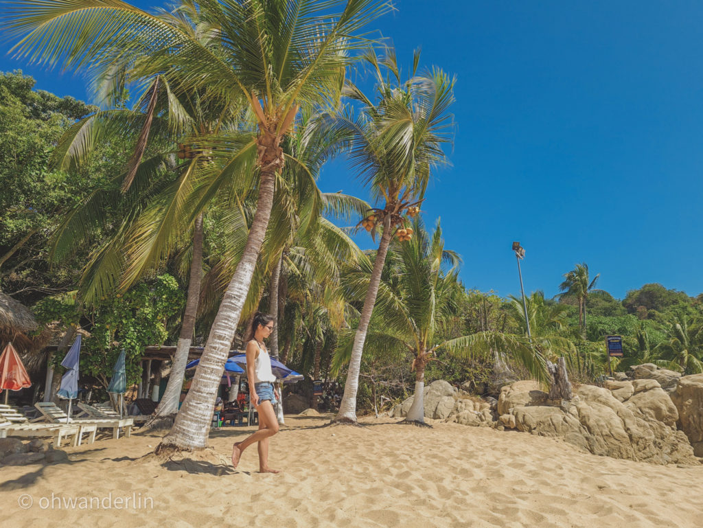 墨西哥海邊 瓦哈卡洲 puerto escondido