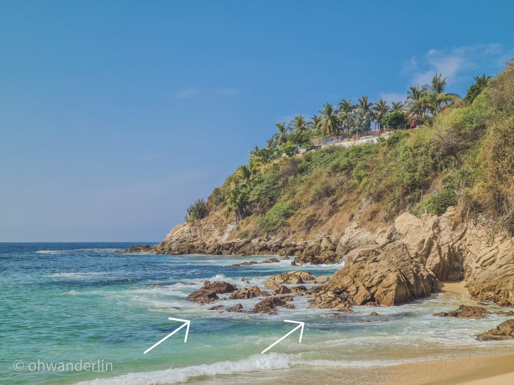 carrizalillo beach